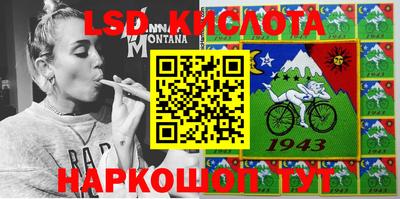 крисы Кинель