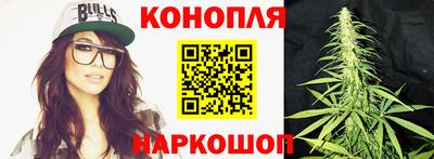 крисы Кинель