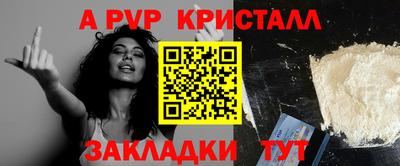 крисы Кинель