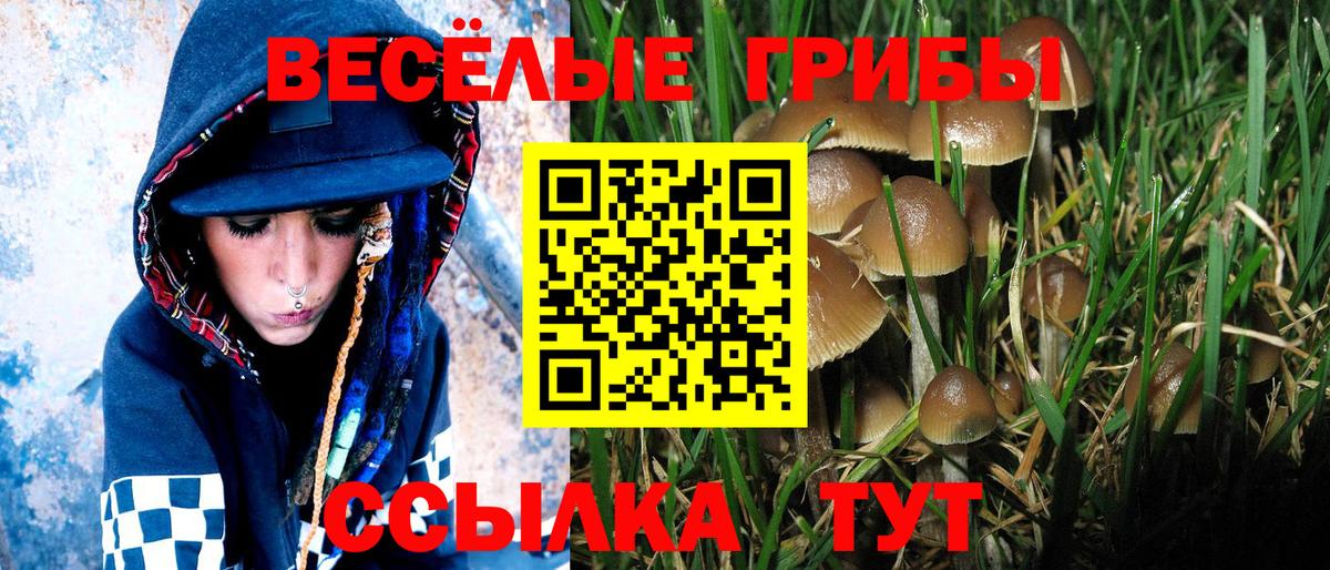 Псилоцибиновые грибы GOLDEN TEACHER  Вход с VPN  Балашов 