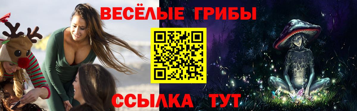 Псилоцибиновые грибы мухоморы Балашов